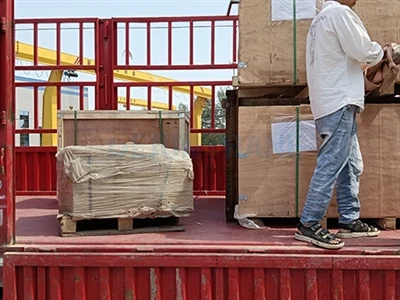 20 tonų vienos sijos viršutinio krano projektas
